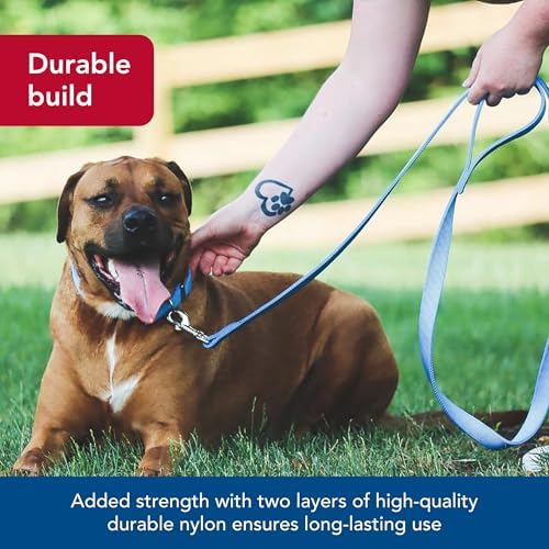 Coastal Pet Double-Ply Dog Leash - Bolt Snap Attachment to Collars and Harnesses - Nylon Dog Walking Leash for Small, Medium and Large Dogs - Purple - 1" x 6' - Image 3