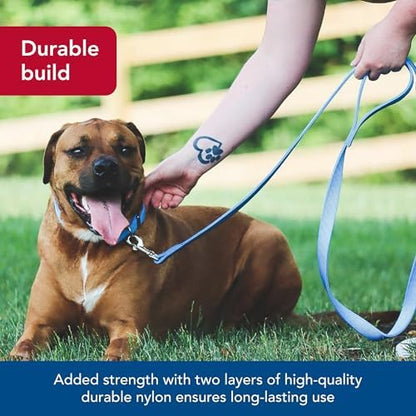 Coastal Pet Double-Ply Dog Leash - Bolt Snap Attachment to Collars and Harnesses - Nylon Dog Walking Leash for Small, Medium and Large Dogs - Purple - 1" x 6' - Image 3