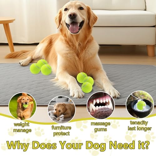 Swingers Squeaky Tennis Balls for Dog, 2.5 Inch Training Tennis Balls - Image 6