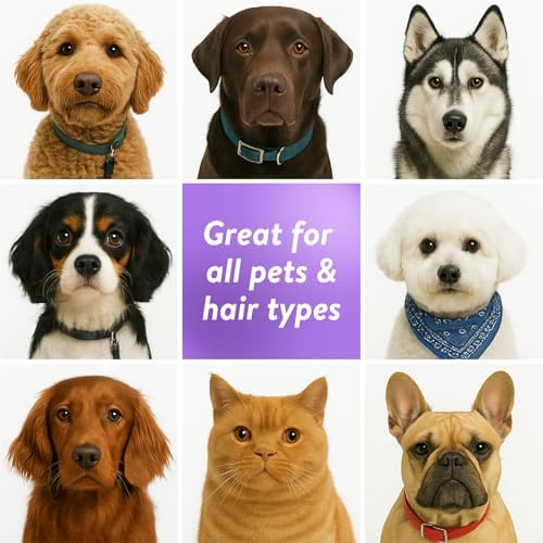 Bodhi Dog Waterless Shampoo - No Rinse Dry Shampoo for Dogs & Cats - Naturally Neutralizes Pet Smelly Odor - Safe for Puppies, Allergies & Sensitive Skin - Made in USA - Lavender (17 Fl Oz) - Image 5