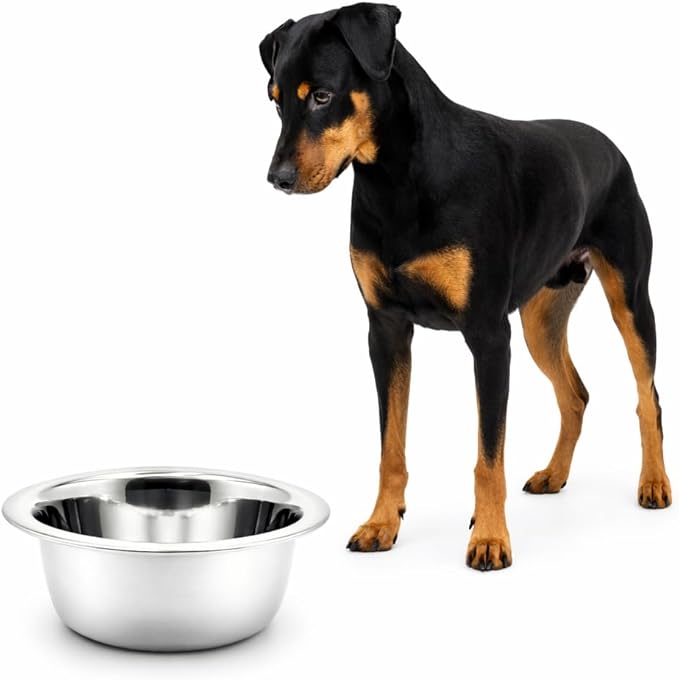 Stainless Steel Dog and Cat Bowls, Replacement Bowl for Pets (50oz)