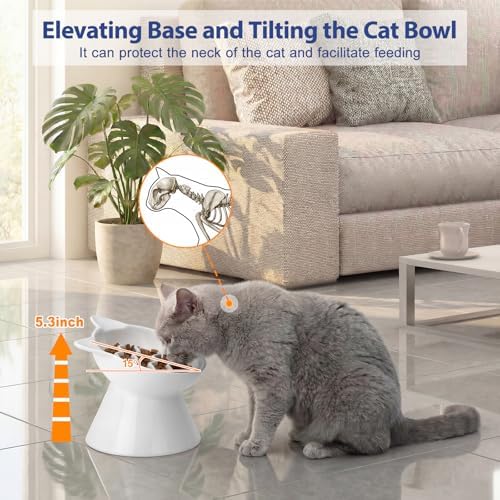 Ceramic Slow Feeder Cat Bowl, 2 Cups Tilted Elevated Honeycomb Food Dish - Image 4