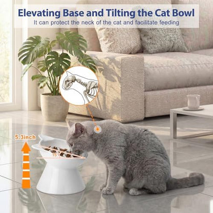 Ceramic Slow Feeder Cat Bowl, 2 Cups Tilted Elevated Honeycomb Food Dish - Image 4