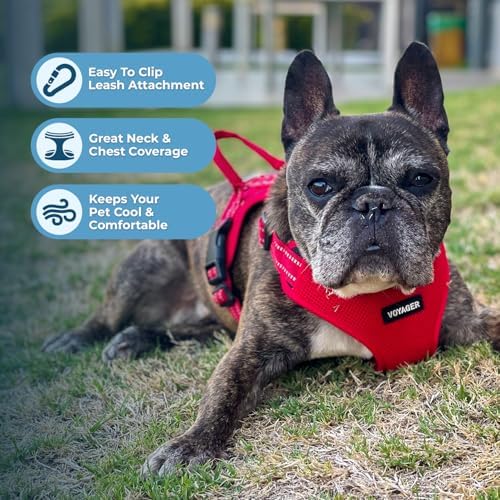 Best Pet Supplies Voyager Adjustable Step-in Flex Breathable Mesh Dog Harness for Small Medium Large Dogs Leash Set (Red), L - Image 5