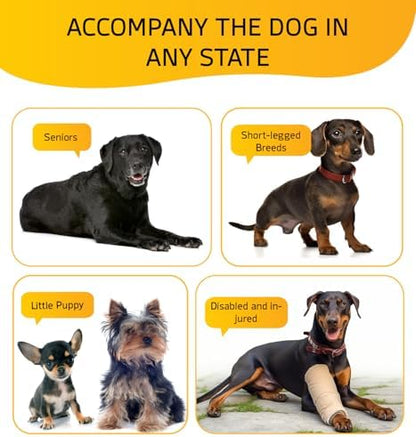Dog Stairs for Small Dog Steps for Bed Ramps Stairs Extra Wide Steps for Bed Foam Stairs for Couch Sofa 35D Strong Support Pet Stairs Non-Slip Bottom Pet Steps to Get on Bed, Grey, 3 Steps - Image 5