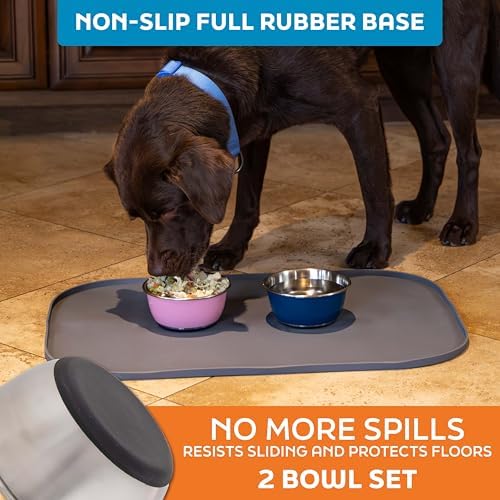 Master Pet Supply Stainless Steel Dog Bowls Set of 2 - Stainless - 16 Oz - Image 4