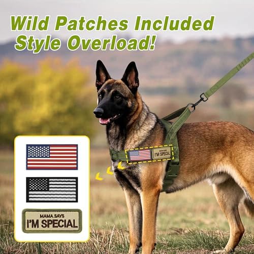 Forestpaw No Pull Dog Harness with Large Handle,Comfortable,XL,Green - Image 4
