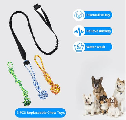 5PCS Spring Pole Dog Rope Toys, Dog Interactive Tether Tug of War Toy, Indoor Outdoor Bungee Hanging Toys, Dogs Tree Interactive Tether Pull & Tug of War Toy, Exercise Toy with Chew Rope for Dogs
