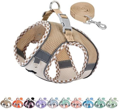 AIITLE Breathable Dog Harness Small Sized and Leash Set, Brown-Beige XXXS by AIITLE-FORPETSBETTERLIFE