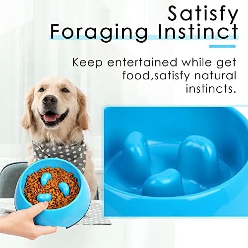 SUPERDESIGN Slow Feeder Dog Bowl Cat Bowl 1/2 Cup Slow Feeding Dog Bowl for Small Medium Breed Anti Gulping Healthy Eating Interactive Bloat Stop Alternative Non Slip Puzzle Dog Food Bowl, Blue - Image 2
