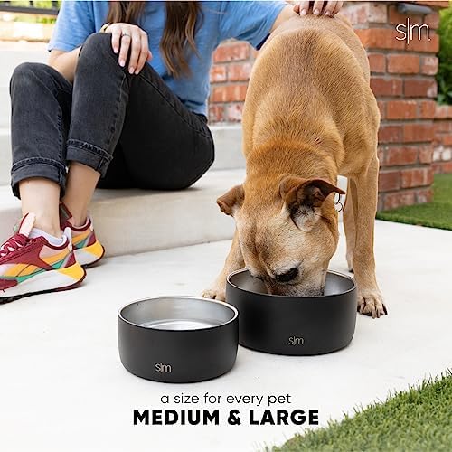 Simple Modern Dog Bowls & Cat Bowls | Large (8 Cups) | Teal - Image 5