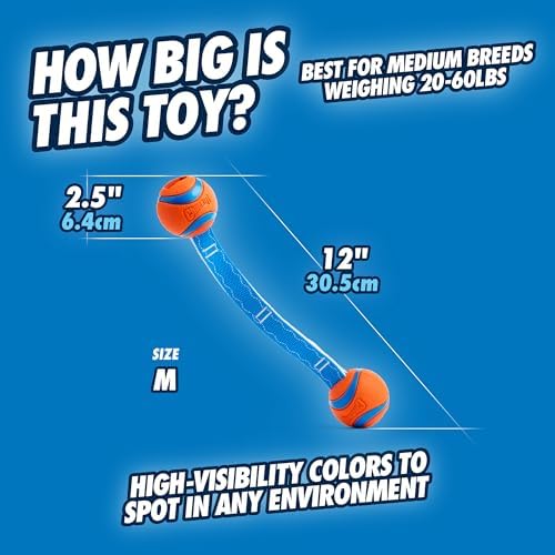 Chuckit! Ultra Duo Tug Dog Toy, Medium 2.5in, Orange and Blue, 20-60lbs - Image 3