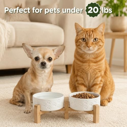 SPUNKYJUNKY Elevated Dog Bowls Ceramic, 5.1'' Dogs and Cat Food Water Bowls Raised with Non-Slip Bamboo Stand for Puppy Small Sized Breed Microwave Dishwasher Safe - 13.5 OZ,Paw White - Image 7