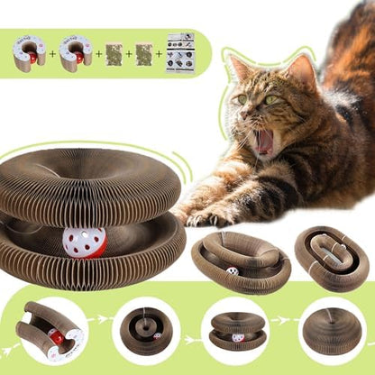 2PCS Kitty Curls Cat Toys Foldable Accordion Honeycomb Cat Scratching Board Toy with Ball - for Indoor Cats & Kittens, Twisty Paws cat Toy(2pcs) - Image 2