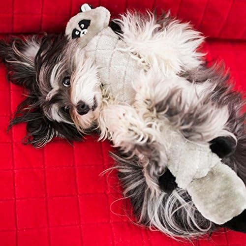 ZippyPaws Jigglerz - Dog Squeaky Toys to Keep Them Busy, Funny Animal Plush for Small, Medium, & Large Dogs, Cute Stuffed Puppy Toy, Pet Products, Gift for All Breeds, Interactive Squeaker - Raccoon