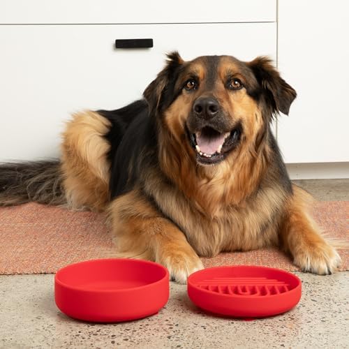 Slow Feeder Dog Bowl - Silicone Dog Bowl, Medium, 7.5" x 1.5" - Cherry - Image 2