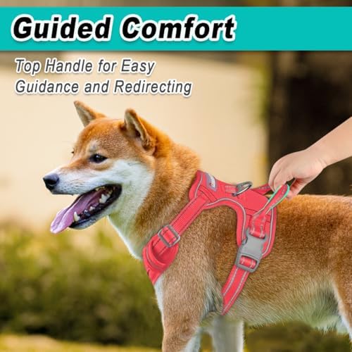 BARKBAY Dog Harness for Large Dog No Pull Mesh 2 Clips Dog Vest - Image 4