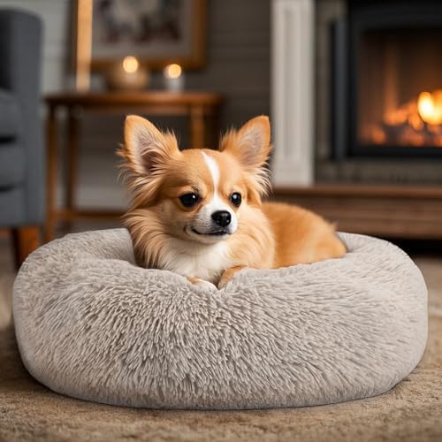 Hoewina Dog & Cat Bed, 20in Cat Beds for Indoor Cats (Brown) - Image 5