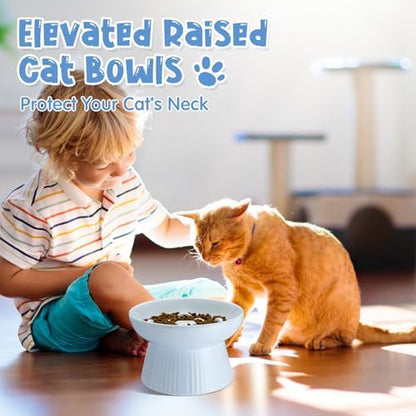 Tioncy 2 Pcs Ceramic Elevated Slow Feeder Cat Bowl, White, Blue - Image 5