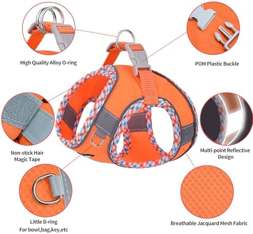 AIITLE Step in Dog Harness & Leash Set with Reflective Design, Orange XXS - Image 5