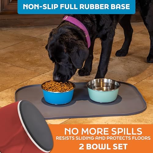 Master Pet Supply Stainless Steel Dog Bowls Set of 2 - Crimson - 32 Oz - Image 4
