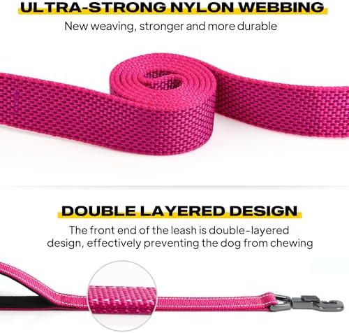 Fida Heavy Duty Dog Leash for Medium Large Dogs, 6 FT, Dual Padded Handles - Image 3