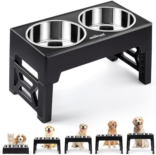 EliteField Elevated Dog Bowls, 2 Stainless Steel Bowls (2-Year Warranty) by EliteField
