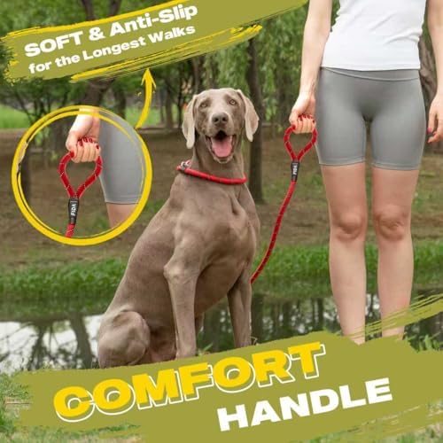 Fida Durable Slip Lead Dog Leash, 6 FT x 3/8" Dog Training Leash, Red - Image 6