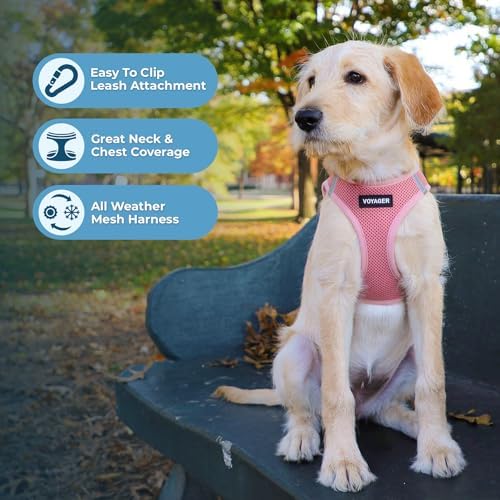 Best Pet Supplies Voyager Step-in Air All Weather Mesh Harness and Reflective Dog 5ft Leash Combo with Neoprene Handle, for Small, Medium and Large Breed Puppies - Pink, Small - Image 5