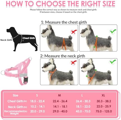 SlowTon No Pull Dog Harness and Leash Set - Heavy Duty, Soft Padded - Image 6