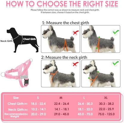 SlowTon No Pull Dog Harness and Leash Set - Heavy Duty, Soft Padded - Image 6