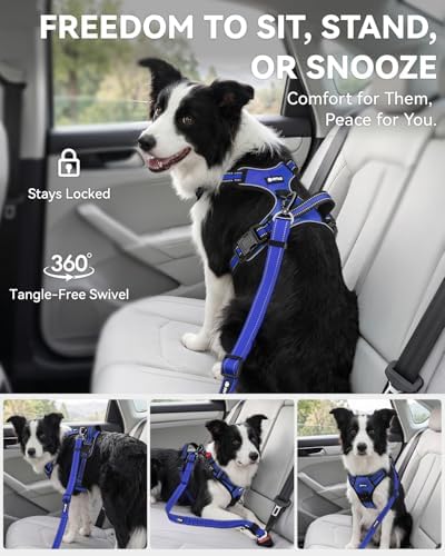 Joytale 3-in-1 Bungee Dog Seat Belt for Car, Medium Large Dogs, Navy Blue - Image 5