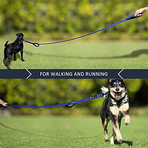 Plutus Pet Double Handle Dog Leash, 4 FT Long, for Medium Large Dogs - Image 7