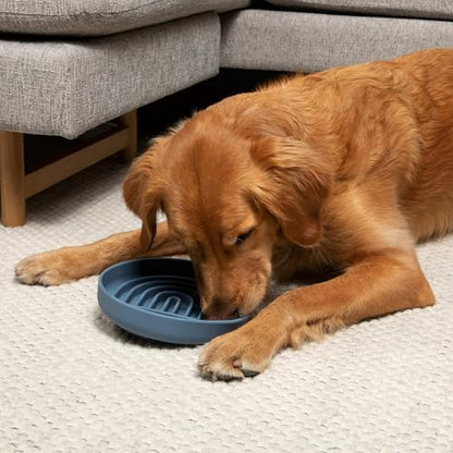 Slow Feeder Dog Bowl - Silicone Dog Bowl, Large, 9.5" x 1.5" - Ocean - Image 3
