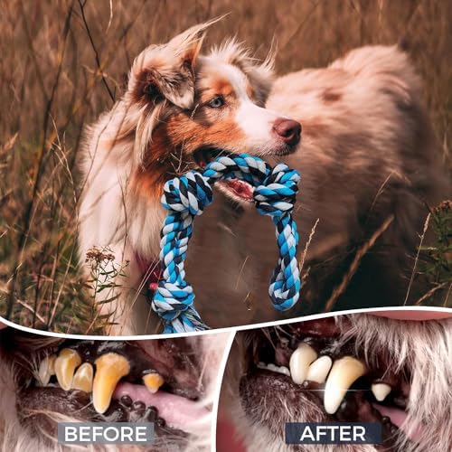 2 Pack Dog Rope Toy，21.65 inch / 13.8 oz - Image 7