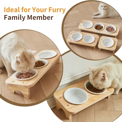 Elevated Cat Food Bowl, 3 Ceramic Raised Cat Basic Bowls with Stand, 15°Tilted Cat Bowl for Indoor Cats, Water Bowl Set,Dishwasher Safe(Large) - Image 5
