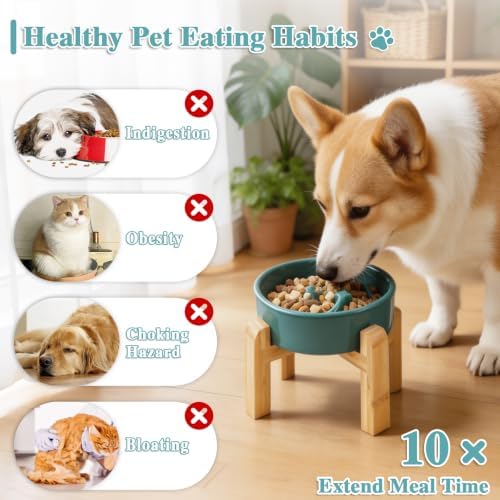 6.3” Elevated Slow Feeder Dog Bowls,Ceramic Slow Feeder Dog Bowl with Stand - Image 5
