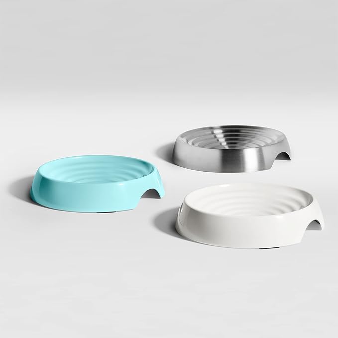CatGuru Cat Bowls, Whisker Friendly Food Bowl for Indoor Cats, Reliefs Whisker Fatigue, Wide Kitten Dish, Non Slip Pet Dishes, Shallow Pet Plates (Stainless Steel)