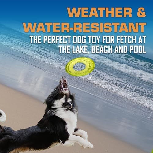 Nerf Dog Tire Flyer Dog Toy Gift Set, 10 Inch Flying Disc Dog Fetch Toys, Rubber Dog Toy for Medium Dogs and Large Dogs, Red, Translucent Green and Translucent Blue, 3 Count - Image 3