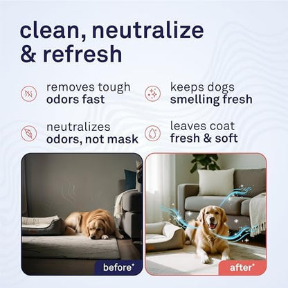 Petpost | Pet Odor Eliminator Spray for Dogs & Cats - Naturally Effective Deodorant and Bad Smell Killer - For Spraying Your Pet or Around the Home 8 oz. - Image 3