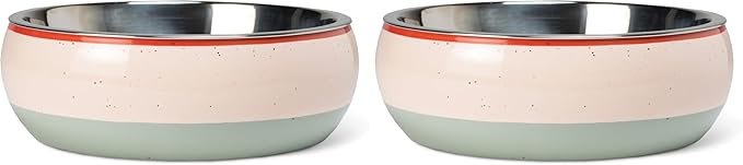 Fringe Studio Speckled Stripe Multi Medium Ceramic Pet Bowl W/Stainless Steel Bowl Insert (6.5" Diameter x 2.5" H, 26 fl.oz.), PetShop Collection (793MD001) (Pack of 2)