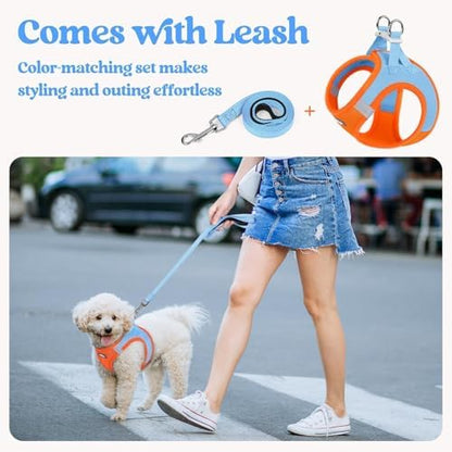 rabbitgoo Dog Harness Medium Sized and Leash Set, Step-in Puppy Pet Vest - Image 5