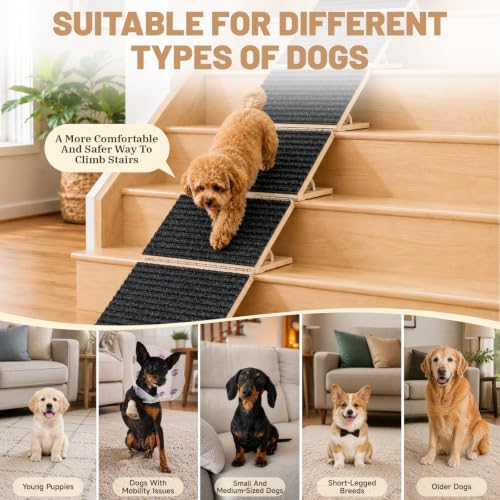 Dog Ramp for Stairs - 2 Pack Wooden Dog Ramps with 16 Anti-Slip Pads - Image 2