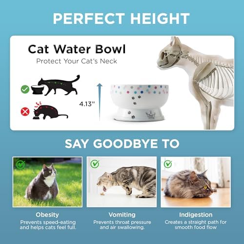 Necoichi Raised Cat Water Bowl, Whisker-Friendly (Colorful Dots, Regular) - Image 5