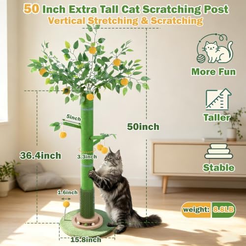 50" Extra Tall Cat Scratching Post for Large Cats, Heavy Duty Scratch Tree - Image 3