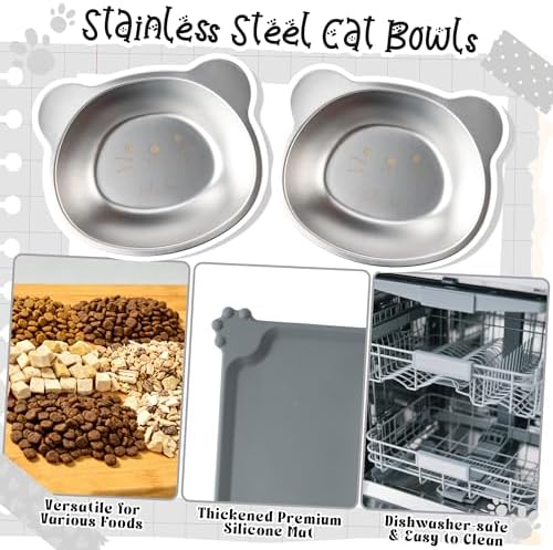 Elevated Cat Bowl with Food Mat - 2 Pack 15°Tilted Stand Raised Bowl, Stainless Steel Whisker Friendly Anti Vomiting Food Water Dishes, Silicone Feeding Mat for Cats Puppy Kitten Small Dog - Image 4