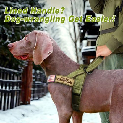 Forestpaw No Pull Dog Harness with Large Handle,Comfortable,L,Green - Image 3
