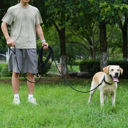 Long Dog Leash, 10ft 30ft 50 feet Heavy Duty Dog Training Leash, Aviation Aluminum Auto Locking Carabiner, Nylon Rope Long Line Check Cord Recall Lead for Yard,Playing,Camping,Black,30FT - Image 5