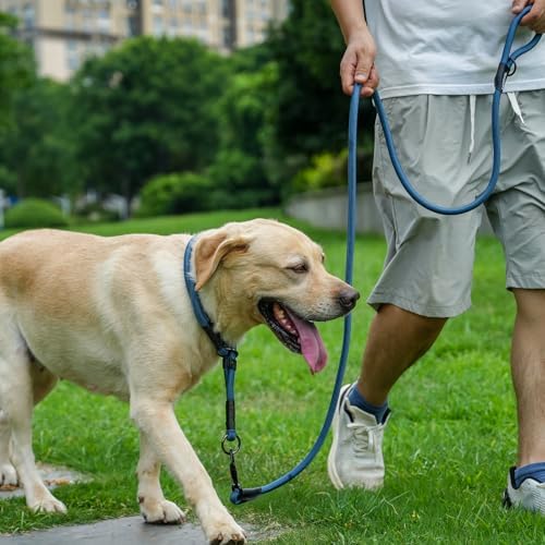 Rope Dog Leash with Two Handles, 6 Foot Heavy Duty Dog Leash with Aviation Aluminum Auto Locking Carabiner, Strong Nylon Pet Lead for Small, Medium, Large Dogs, Orange, 6FT-Two Handle - Image 6