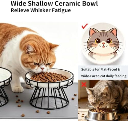 Elevated Ceramic Cat Bowl Set of 2 with Silicone Mat - Image 3
